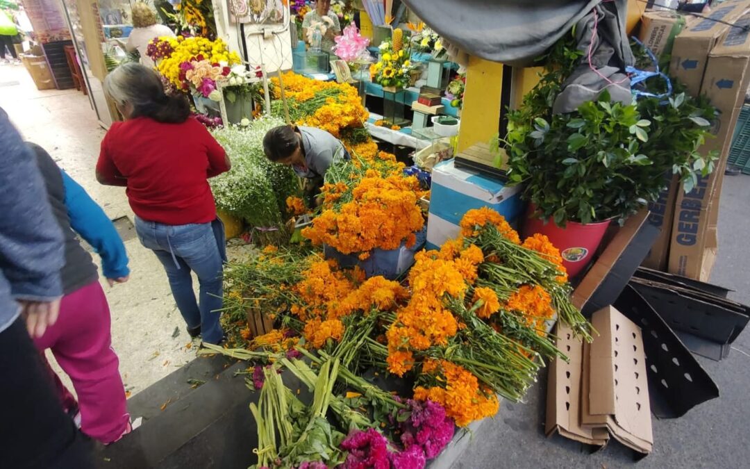 Bajas ventas de flor de cempasúchil por pérdida de tradiciones en Xalapa