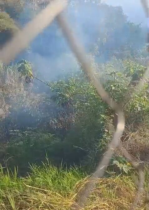 ¡¡Solicitan auxilio de bomberos por incendio provocado en Circuito Presidentes!!
