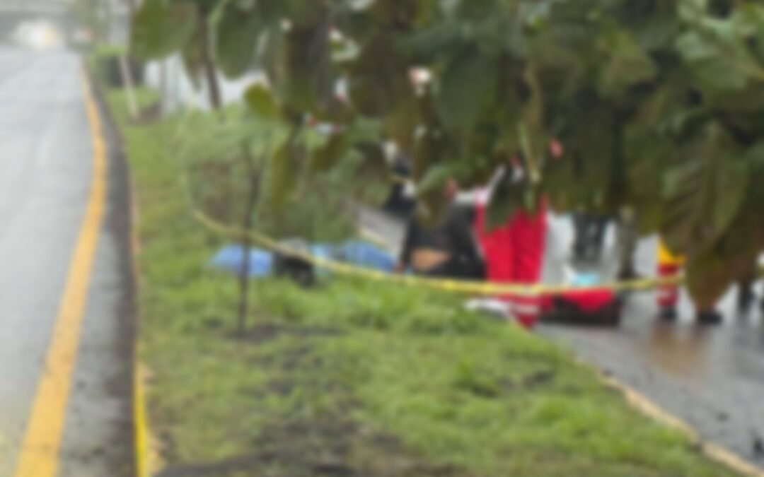 ¡¡Tragedia en la carretera Veracruz–Xalapa: menor pierde la vida tras volcadura de motocicleta!!